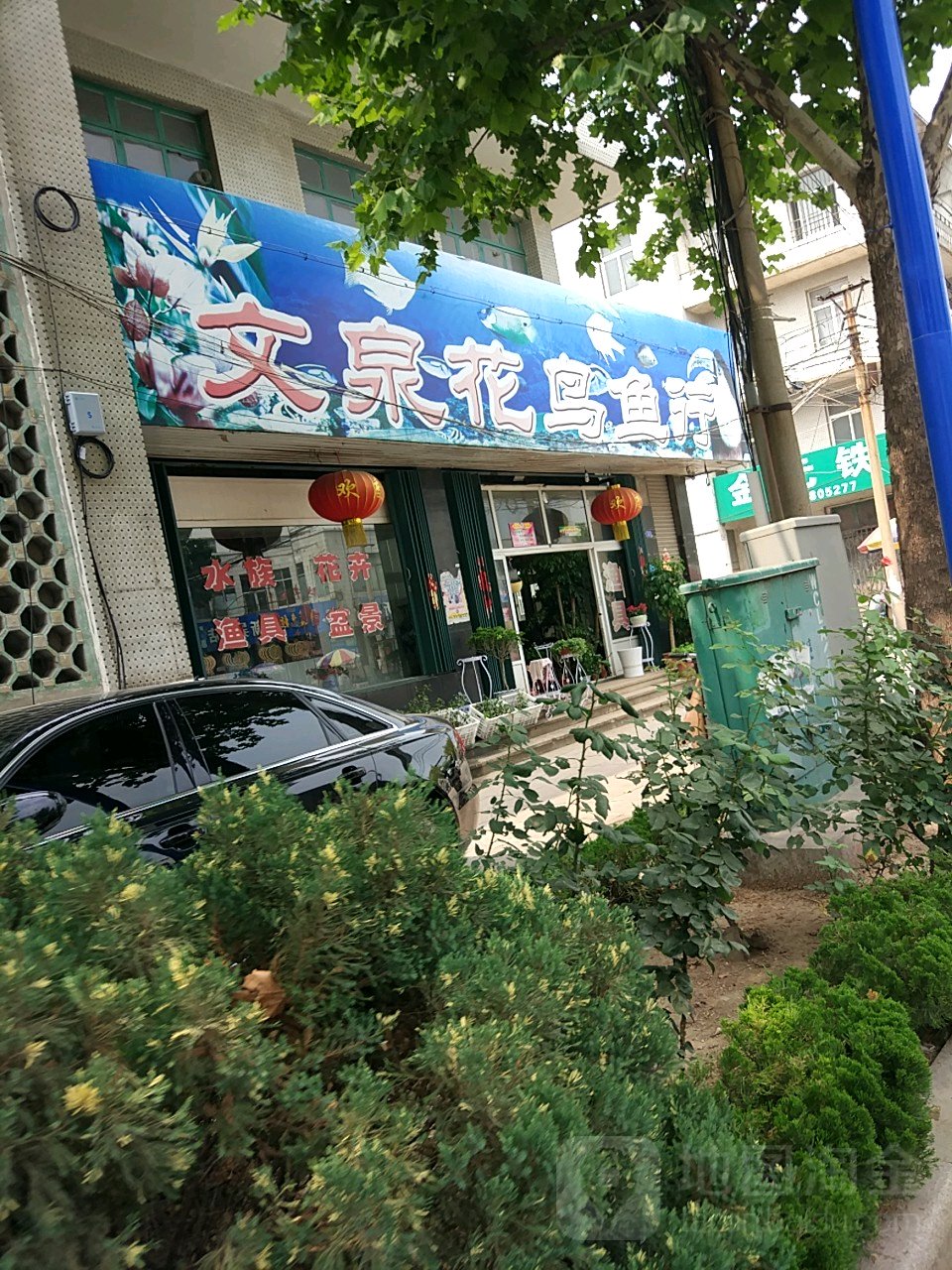 文泉花鸟鱼行(南关路店)