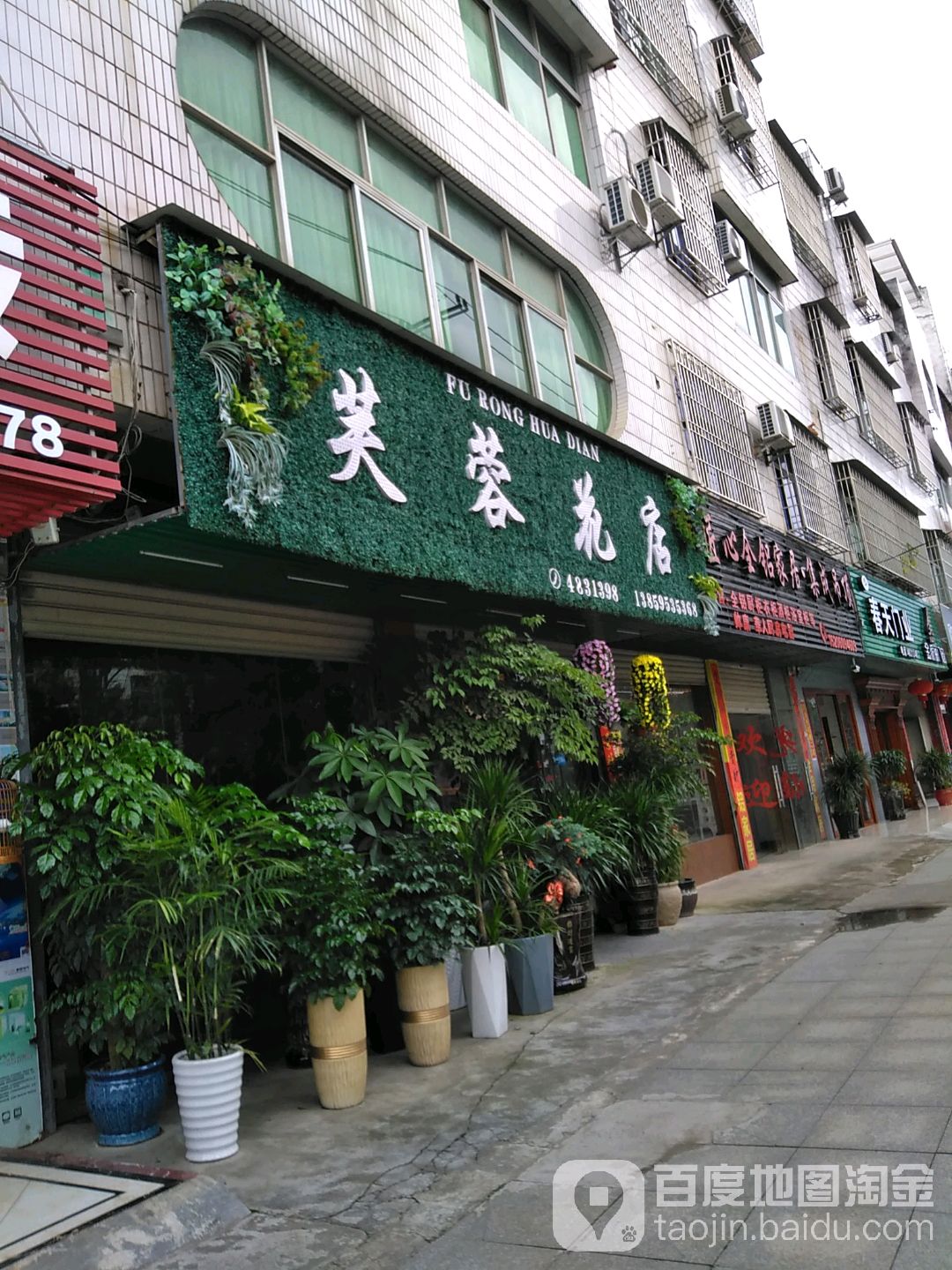 芙蓉花店
