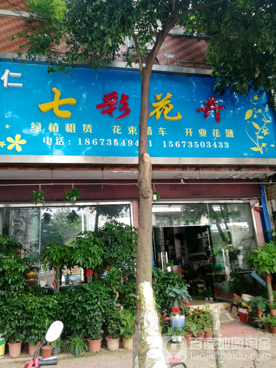 安仁七彩花卉(香花南路店)