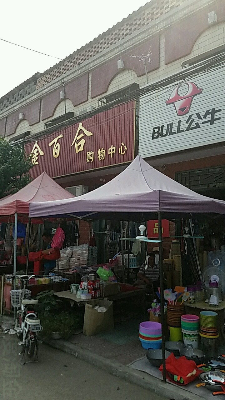 金百合购物中心(幸福路店)