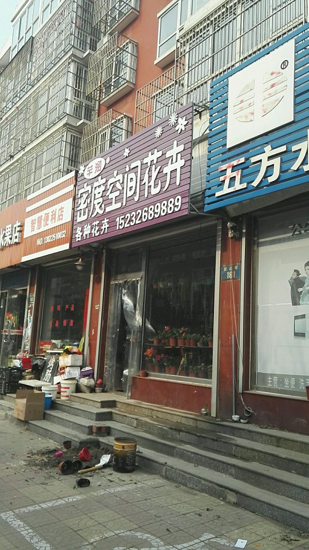 芊润密度空间花卉