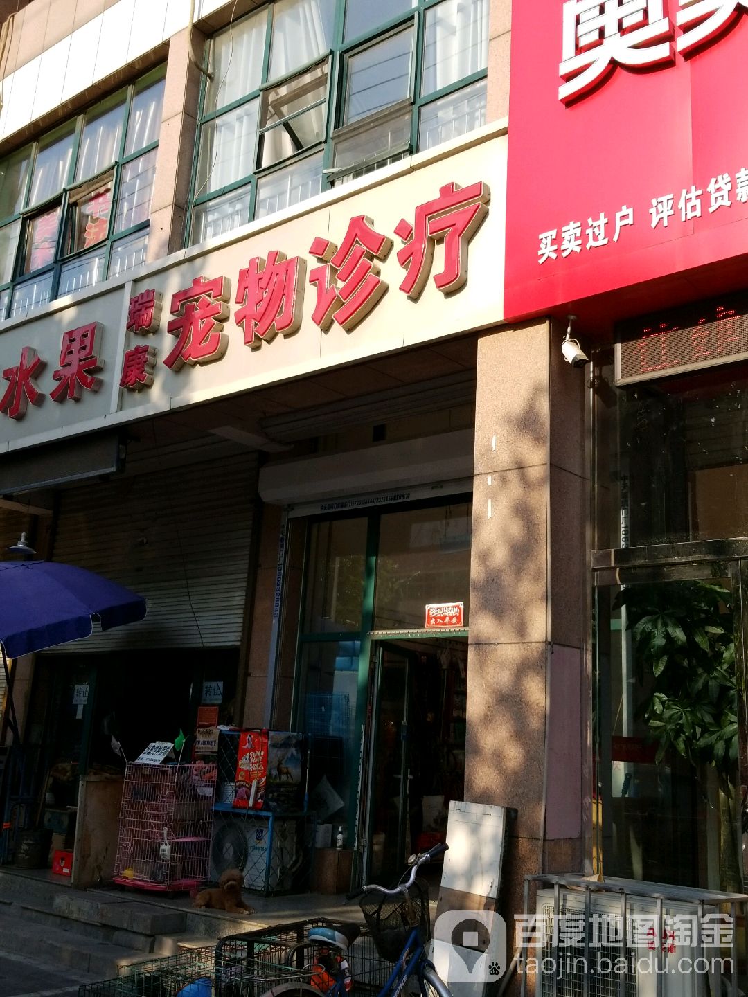 瑞康宠物诊疗