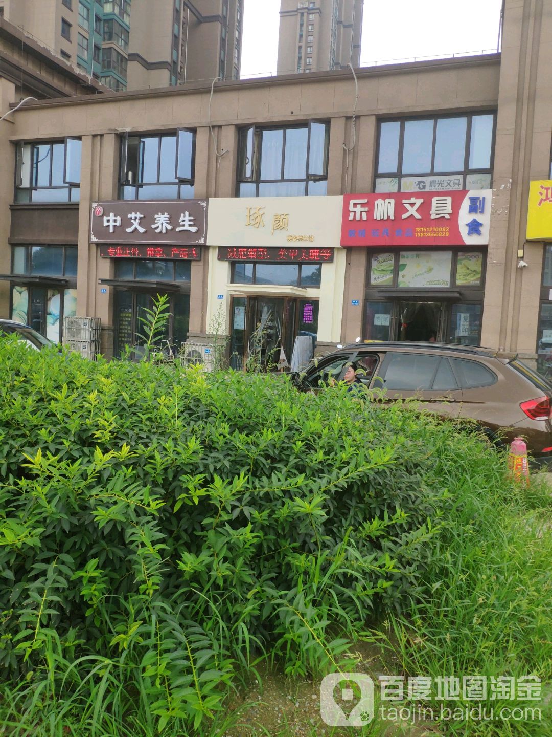 中艾养生