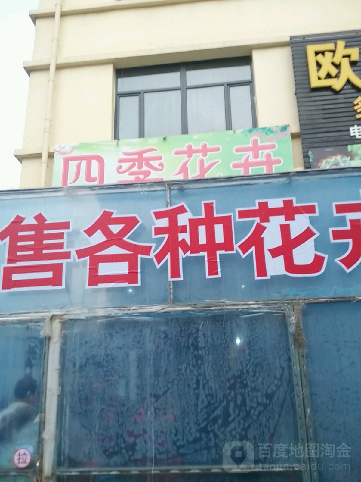 四季花-卉(园林路店)