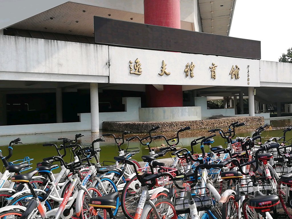 浙江大学(华家池校区)-逸夫体育馆