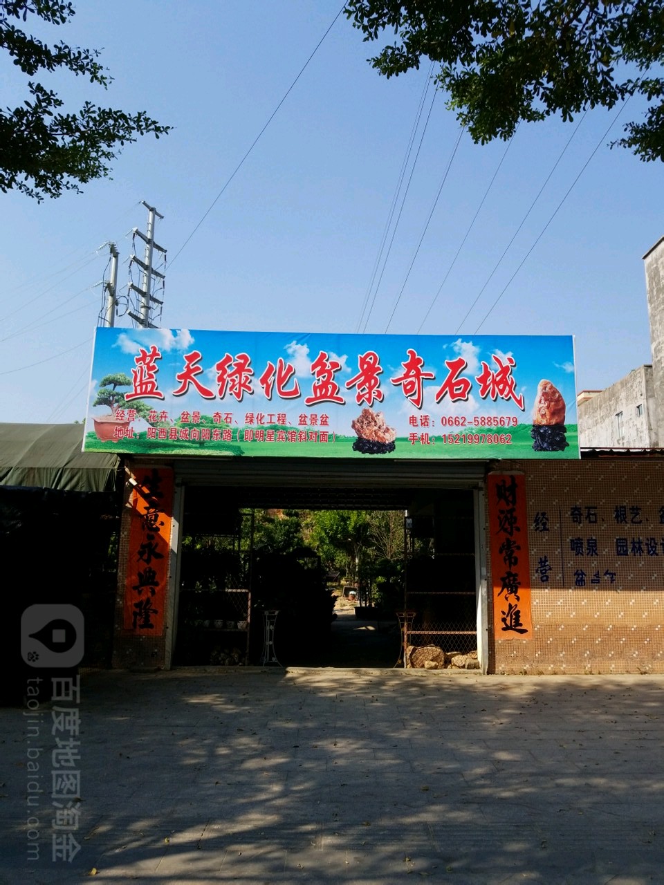 蓝天绿化盆景奇石城