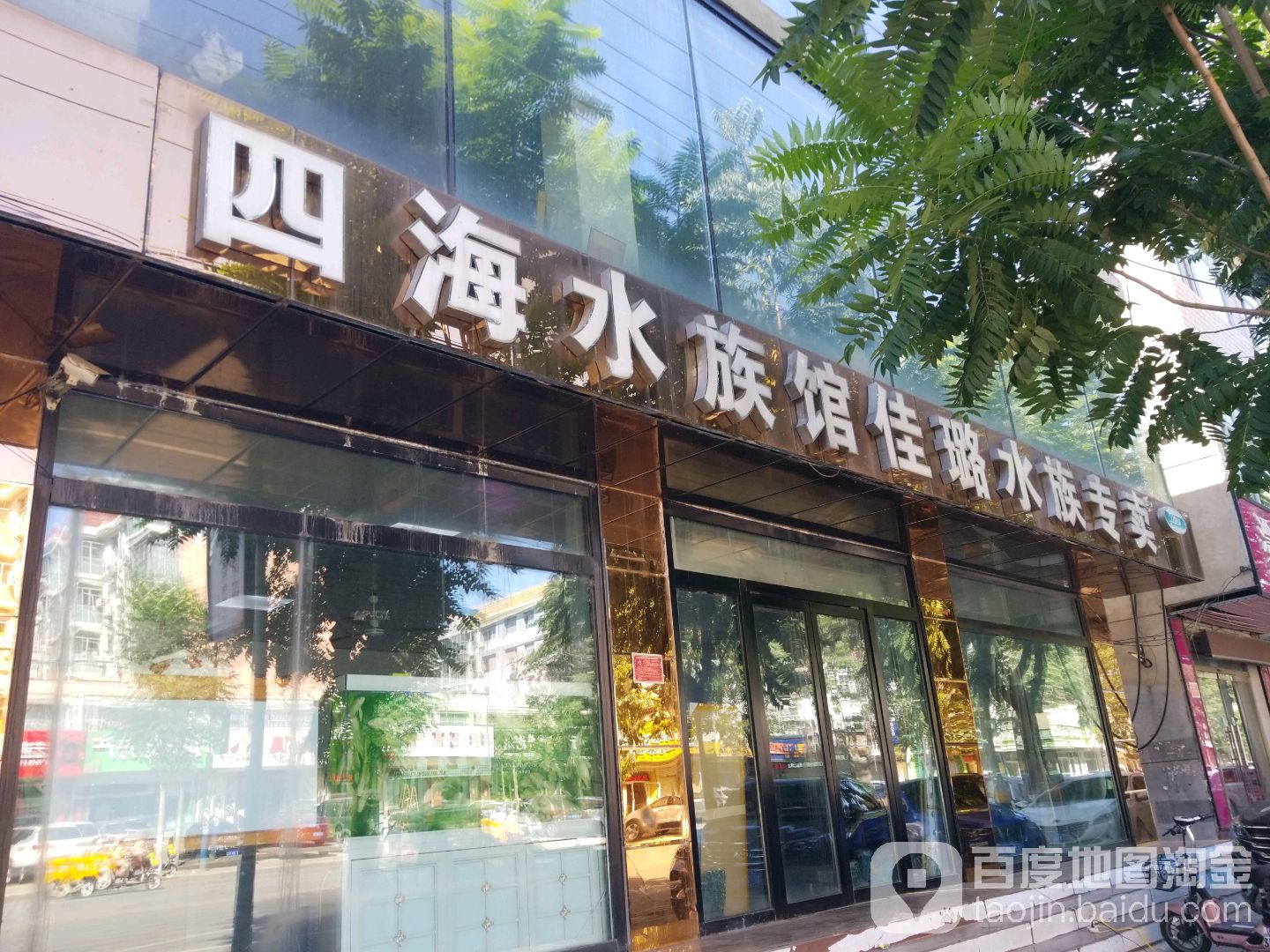 四海水族馆佳璐水族专卖