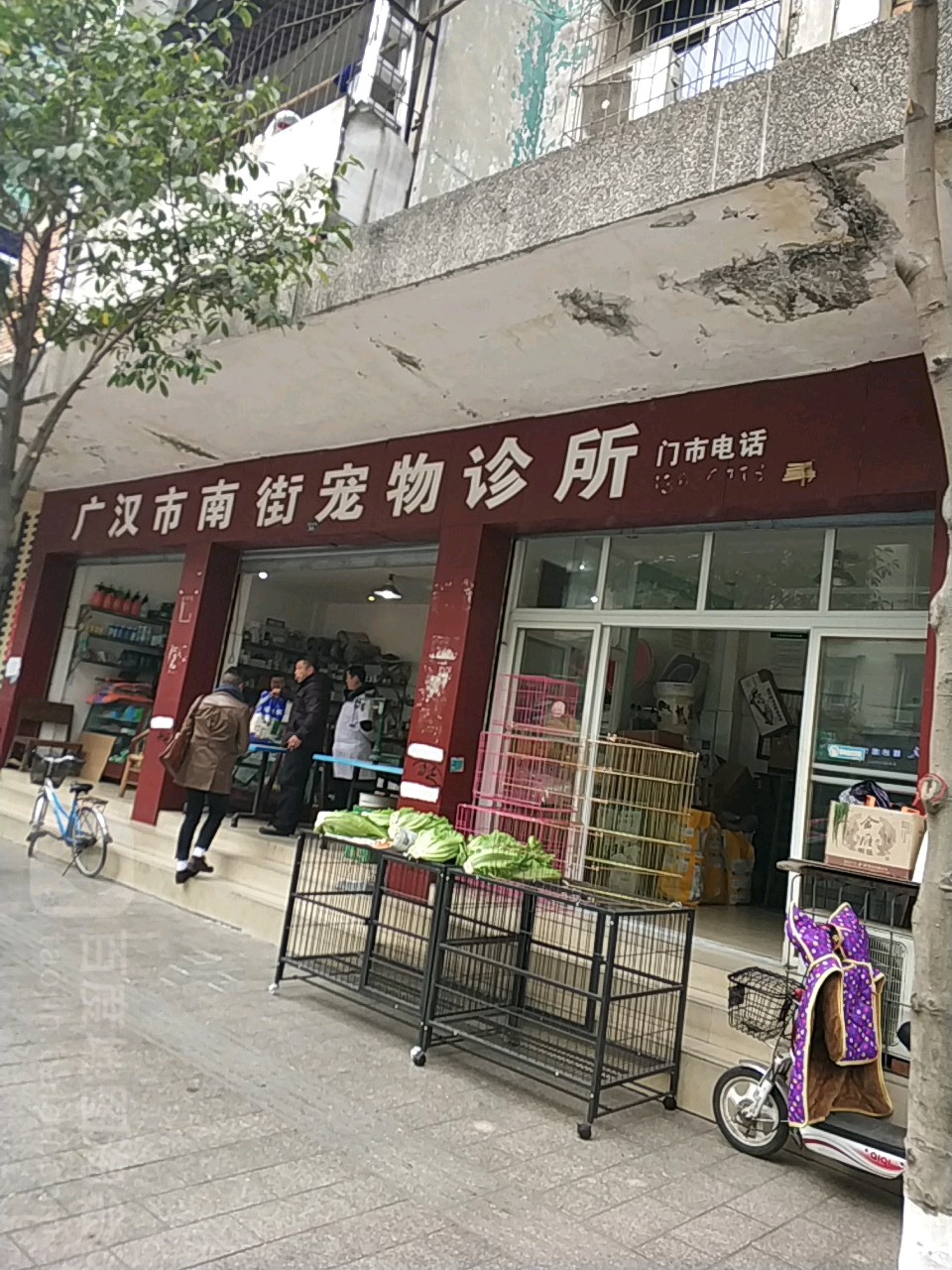 广汉市南街宠物诊所