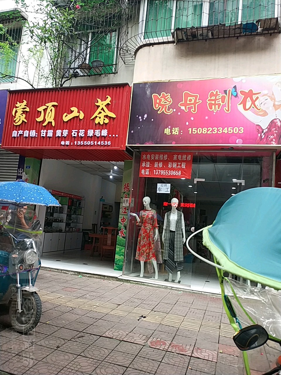 蒙顶山茶(金鑫东街店)