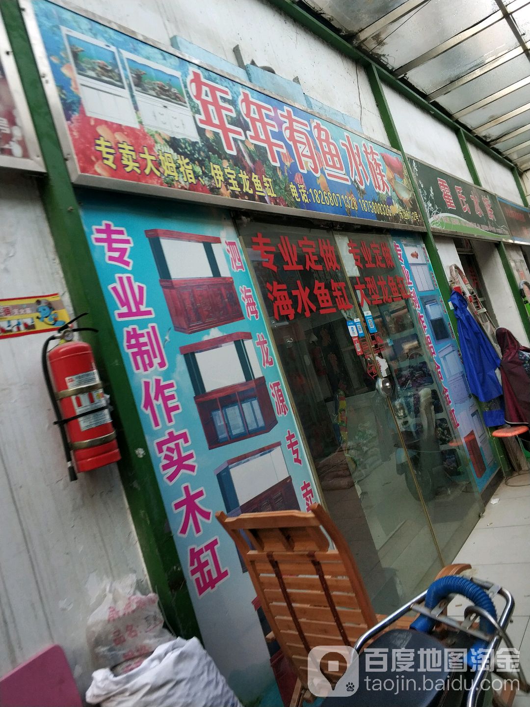 年年鱼鱼水族(凤起东路店)