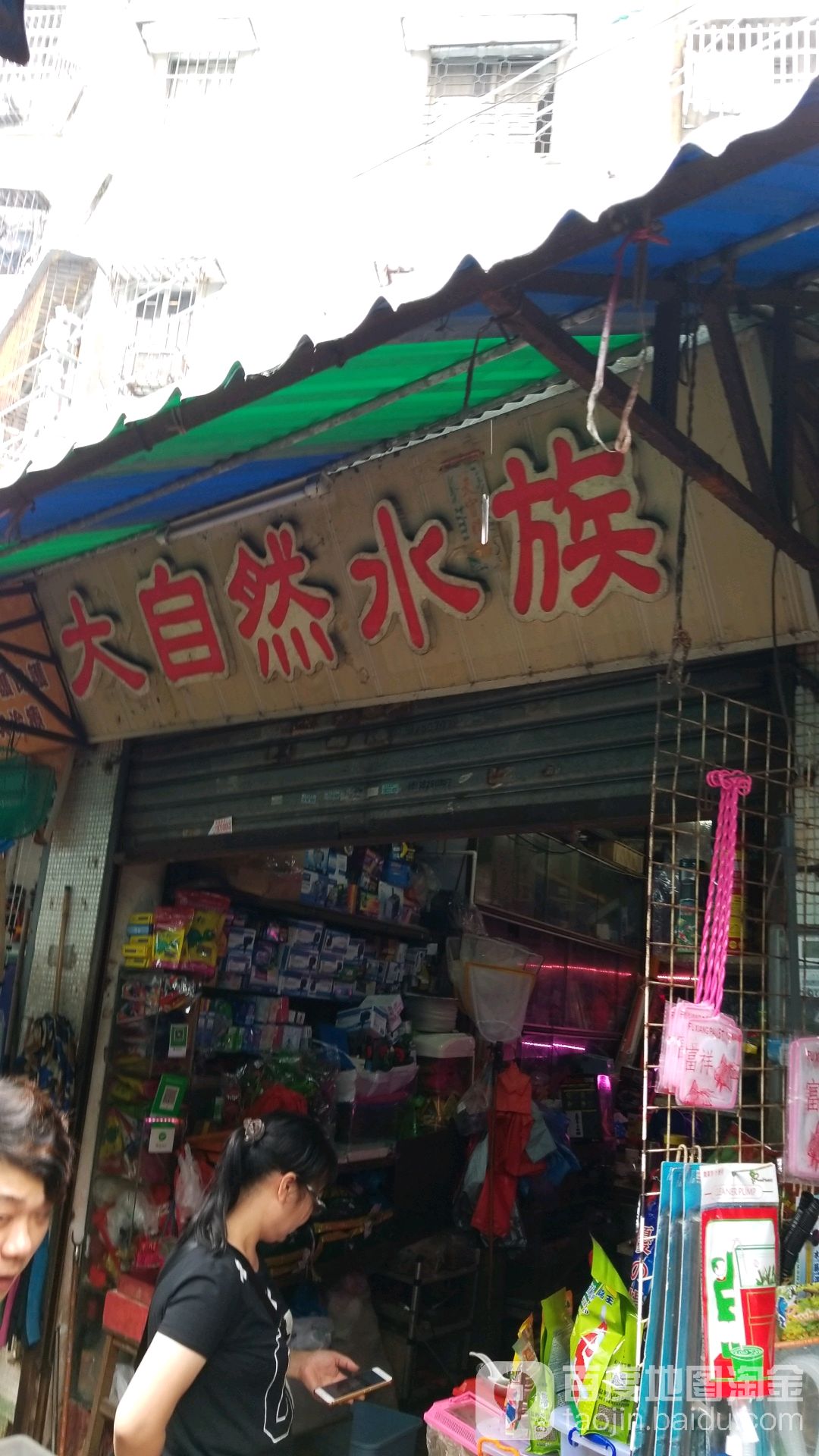 大自然水族(菱东路店)