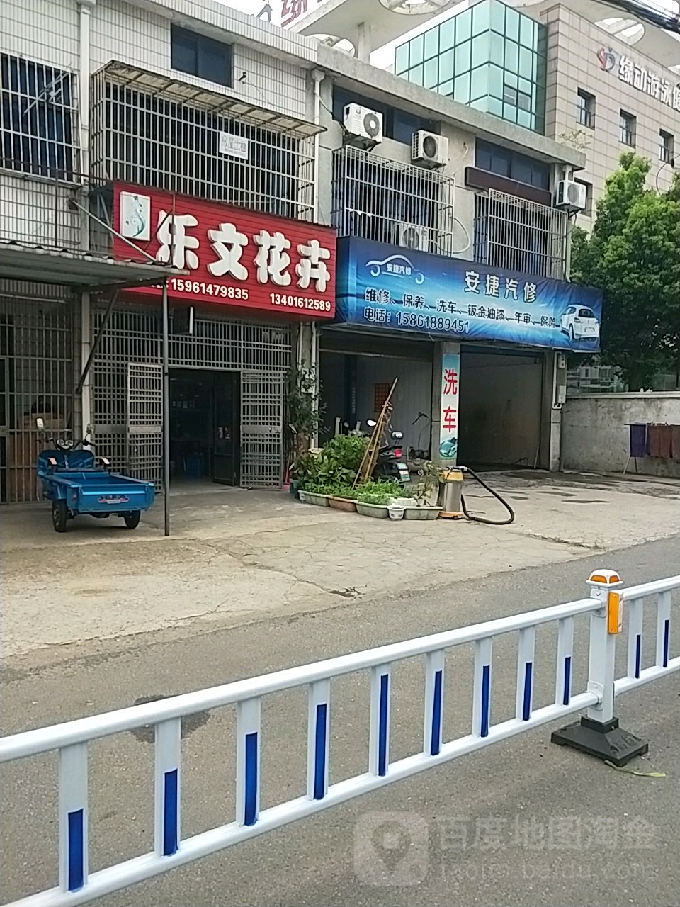 乐文花卉