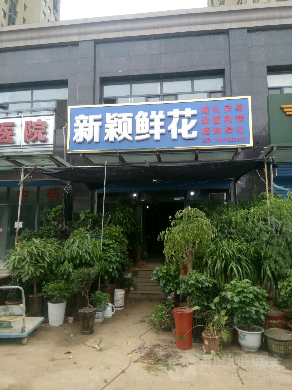 新颖鲜花