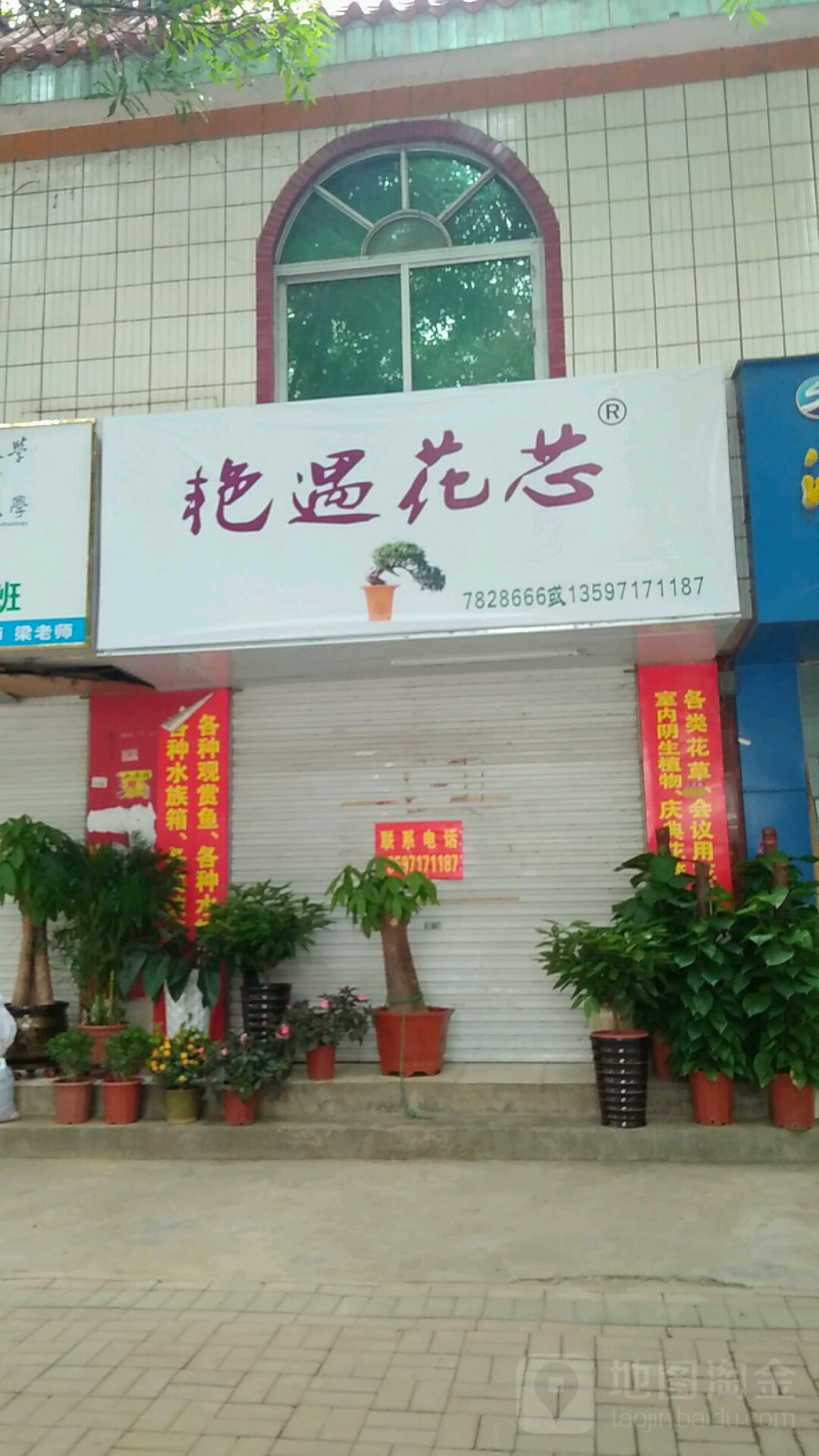 艳遇花芯