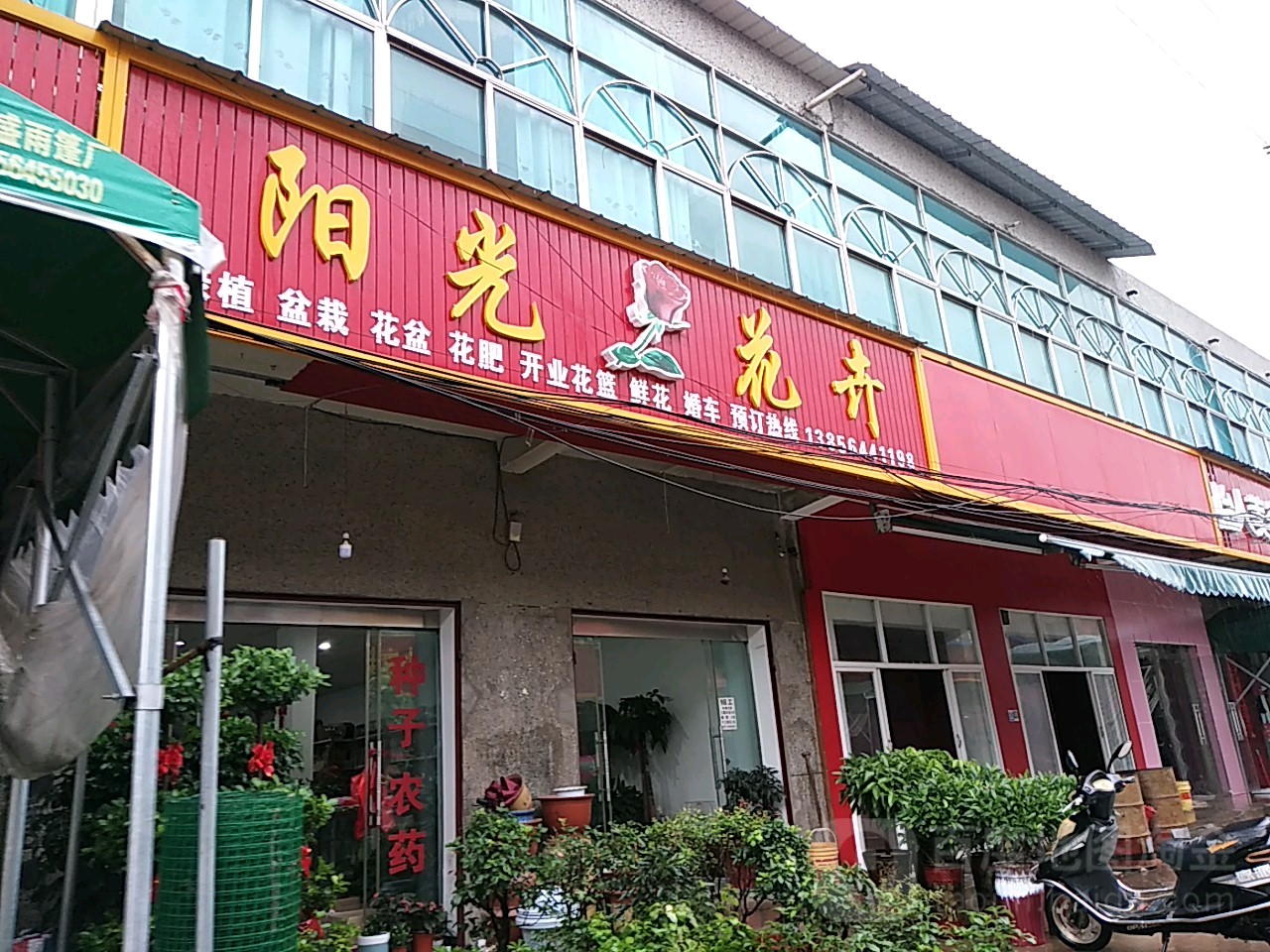 阳光花卉(徐集农贸市场A区店)