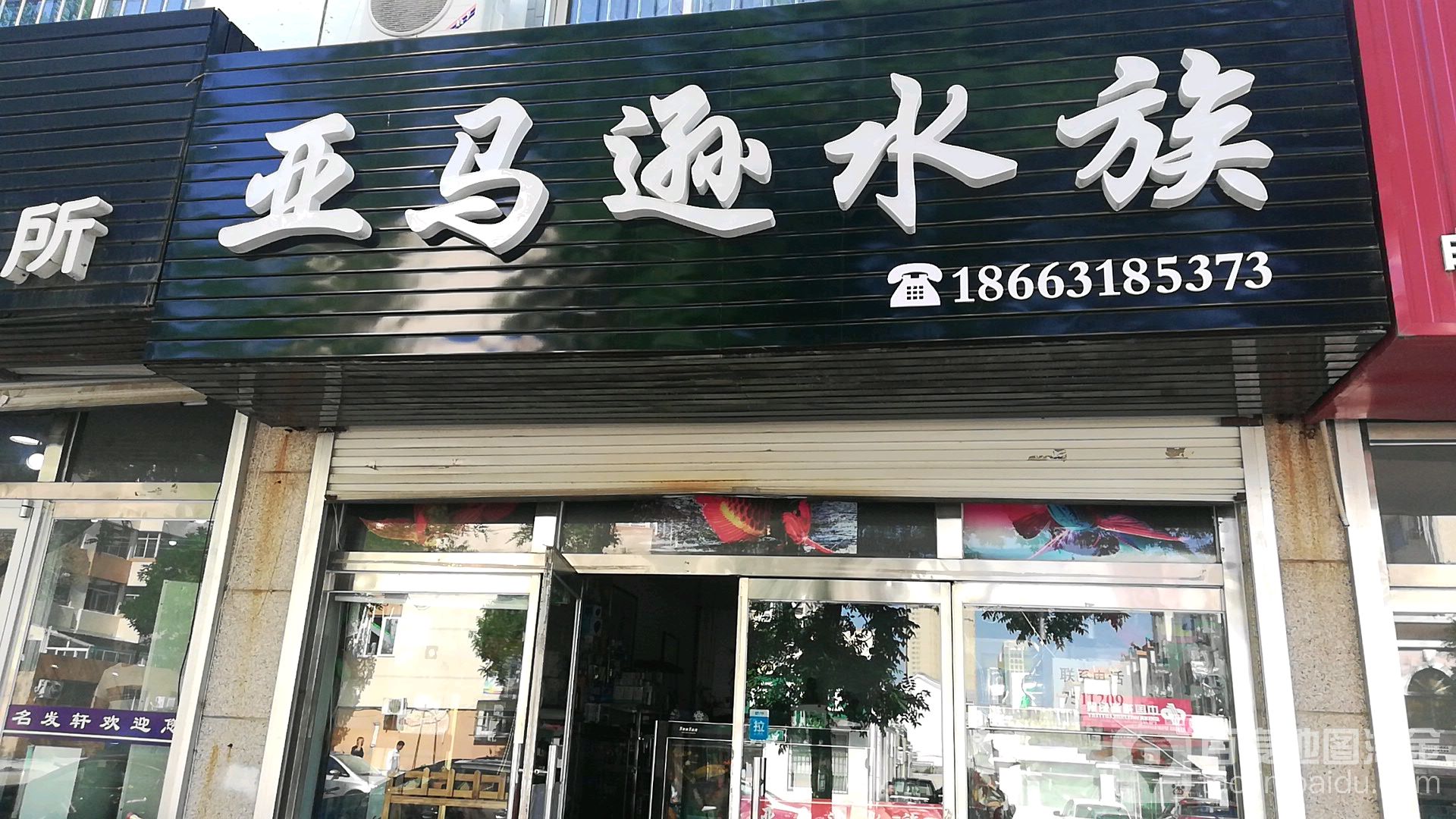亚马逊水族(台上北街店)