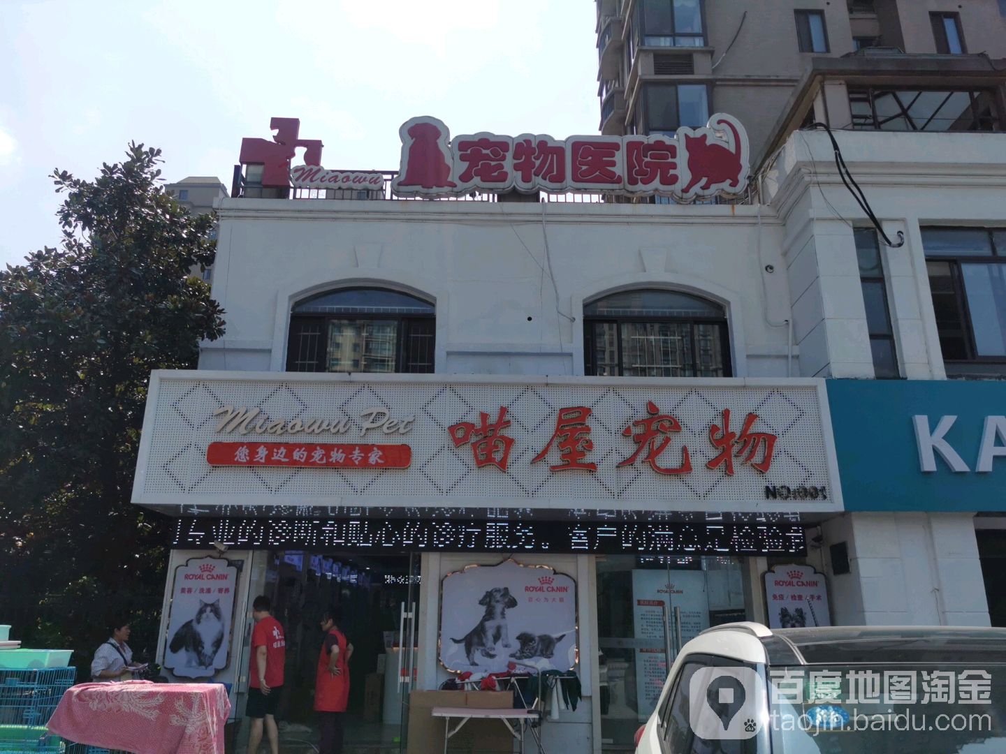 无锡市喵屋宠物疑云(人民东路店)