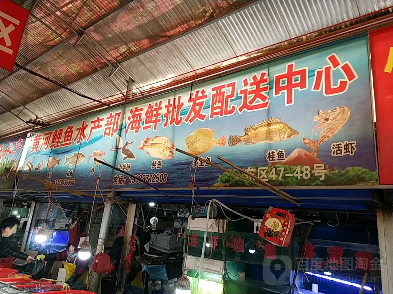黄河鲤鱼水产部海鲜批发配送中心