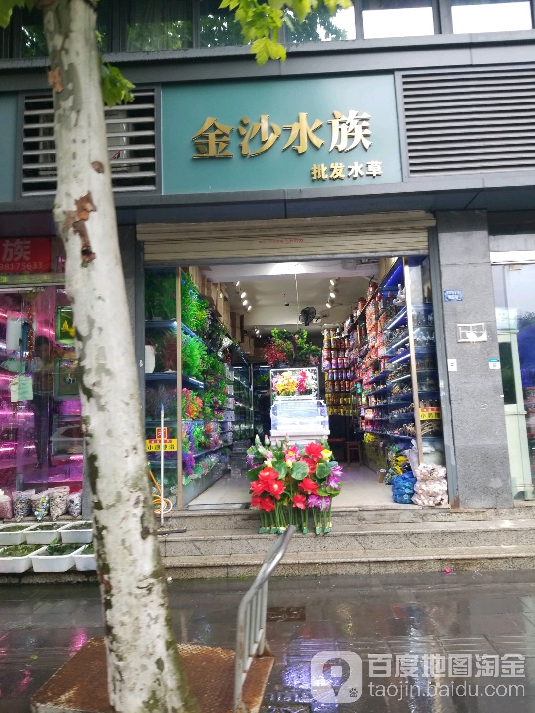 金沙水族(新开街店)