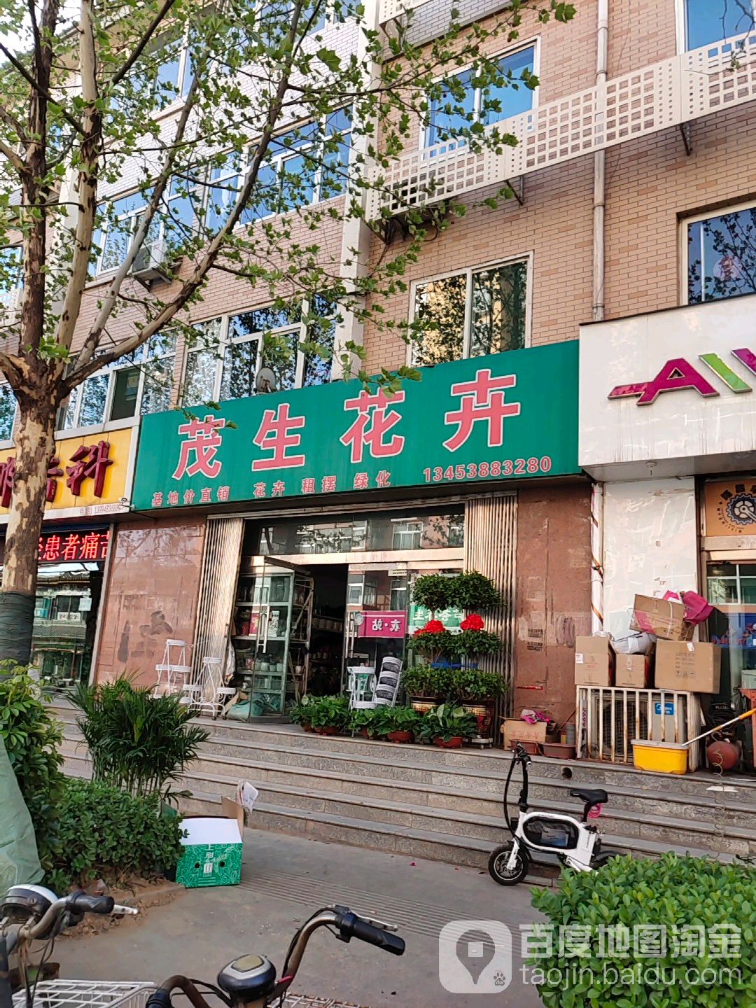 茂生花卉