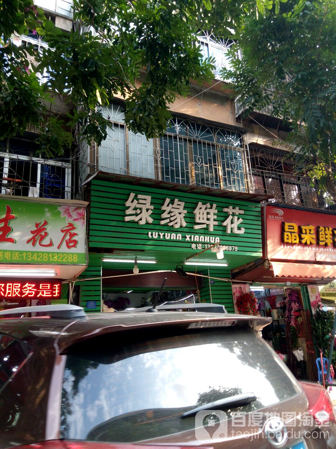 绿缘鲜花