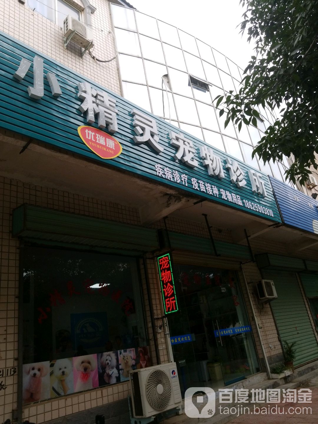 小精灵宠物诊所(安泰街店)