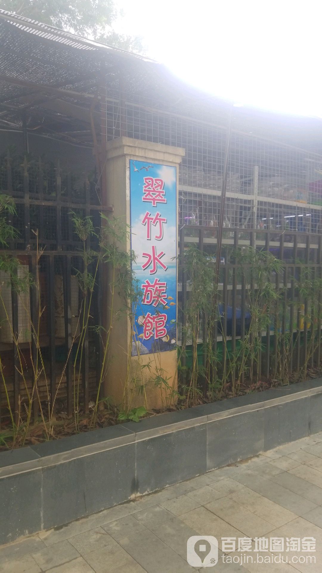 翠竹水族馆(好又多店)