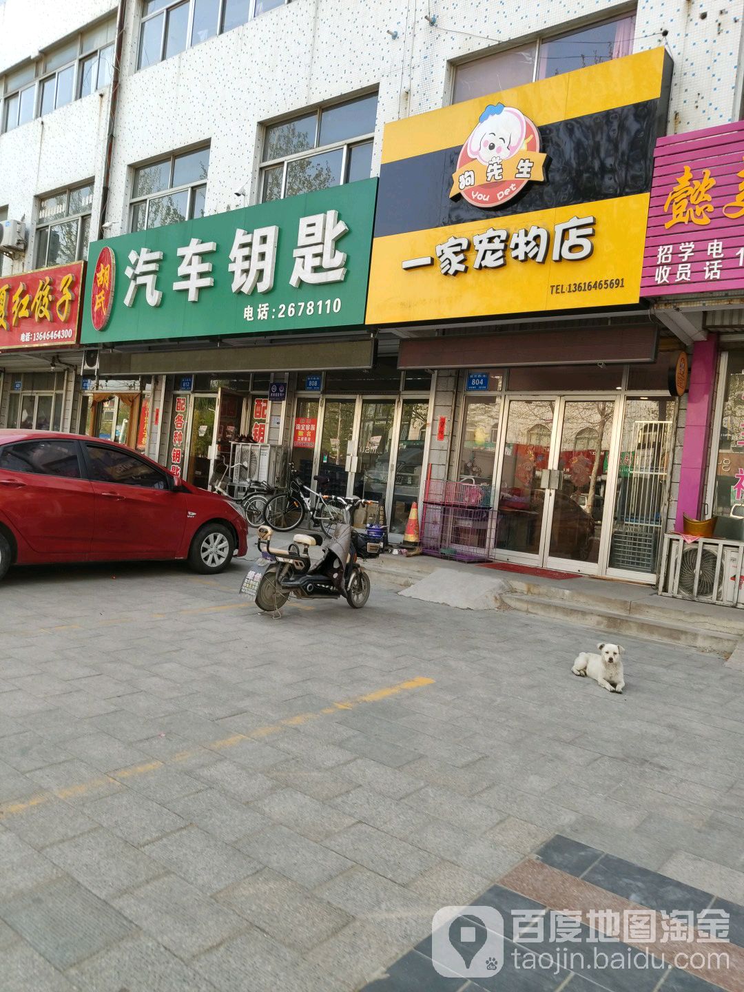 一家宠物店