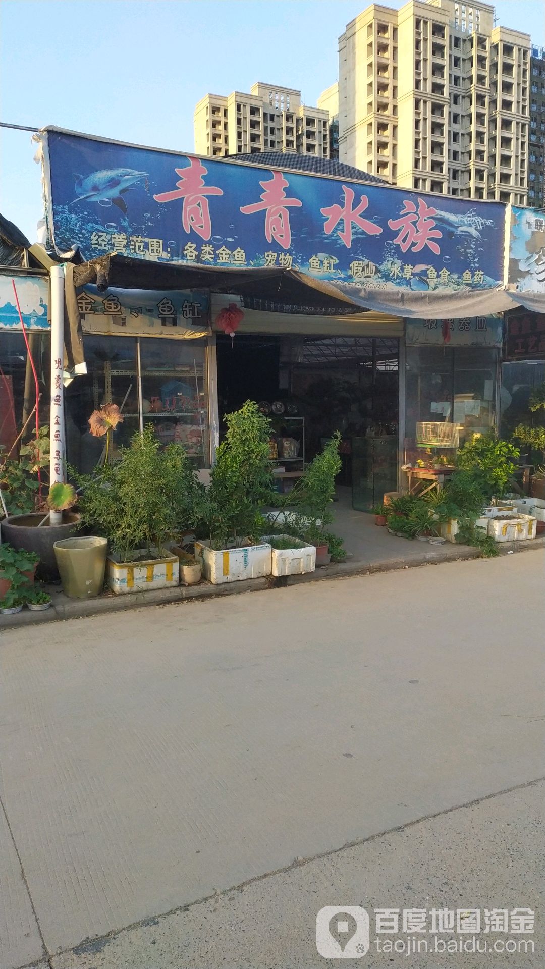 青清水族