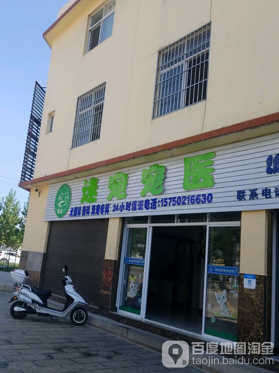 迷宠宠医