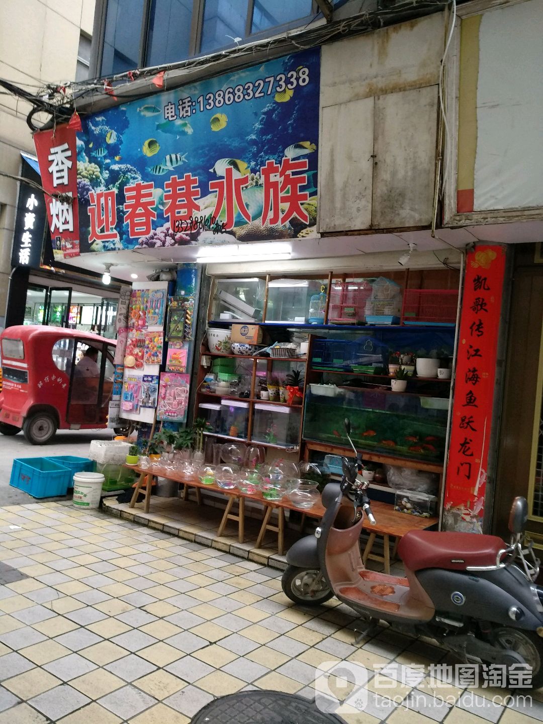 迎春南巷水族