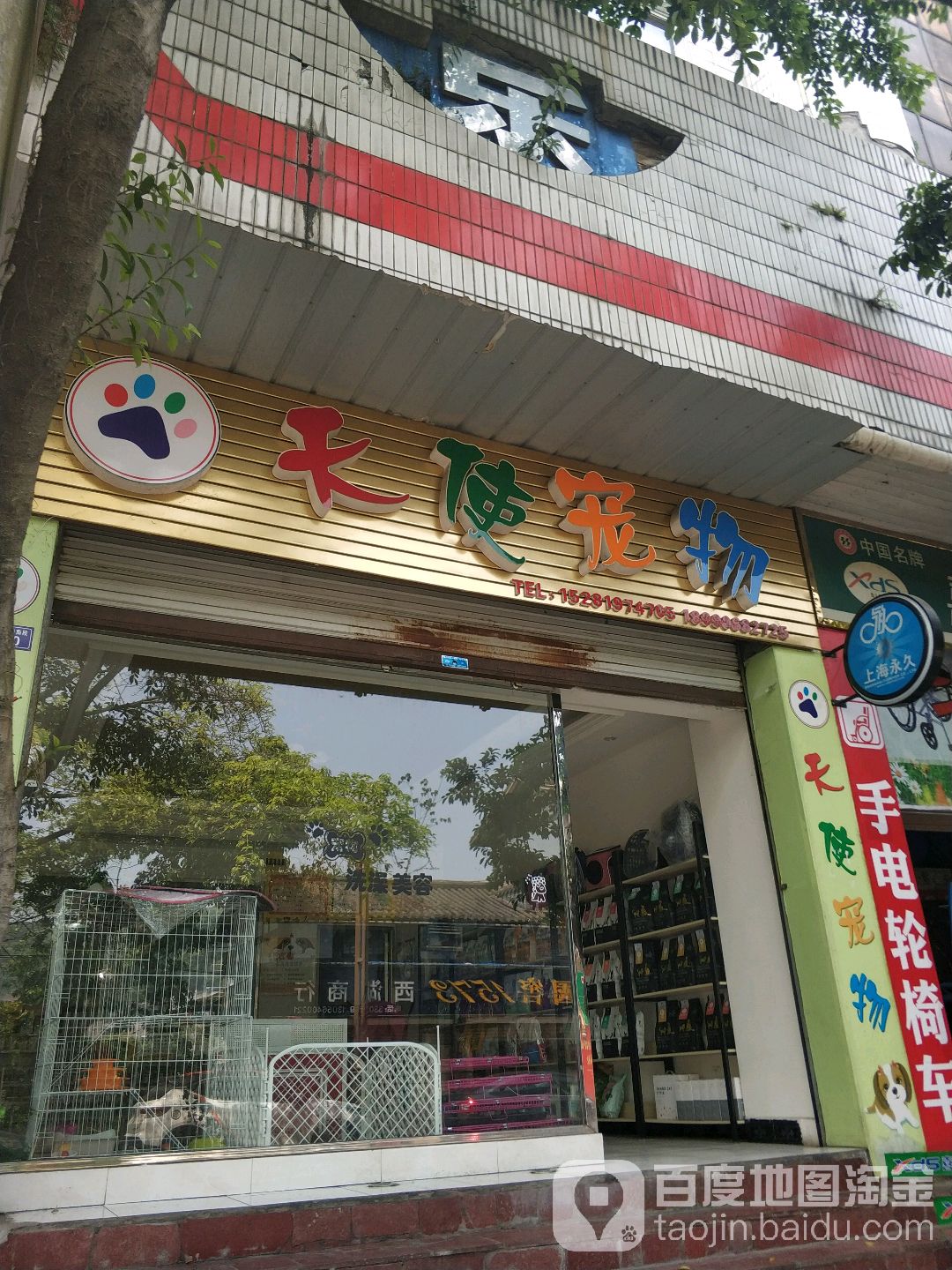 天使宠物(涌江路南段店)