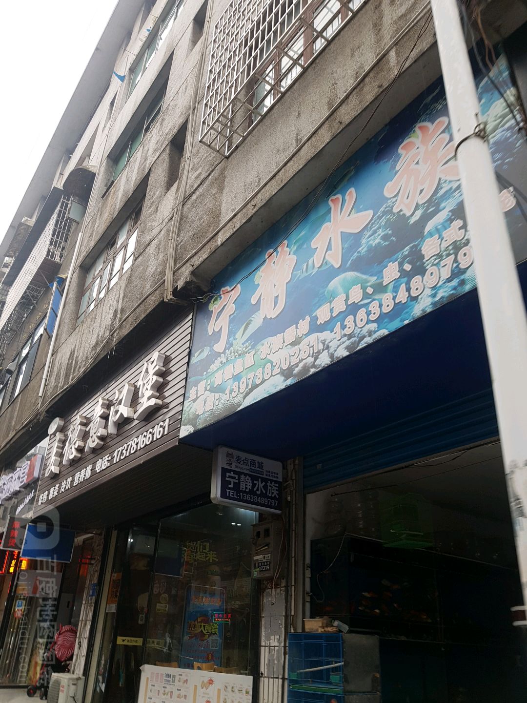 宁静水族