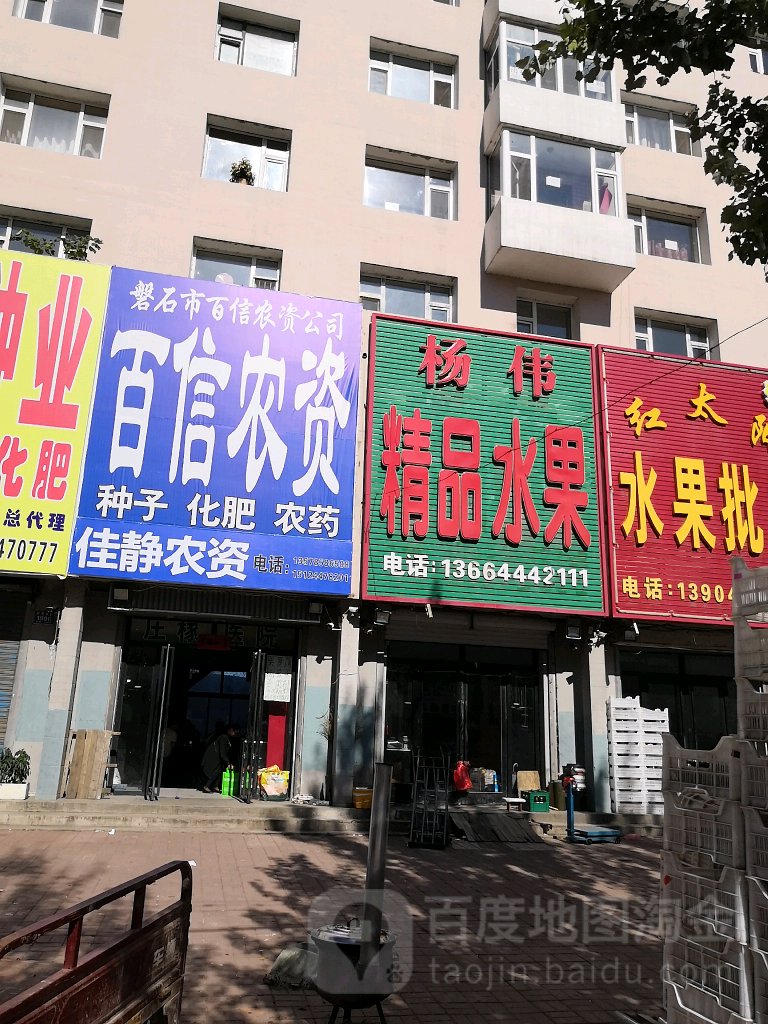 杨伟精品水果批发