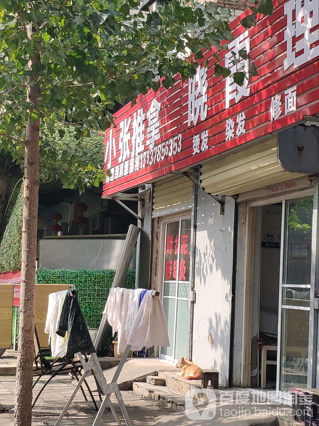 新张推拿(益农街店)