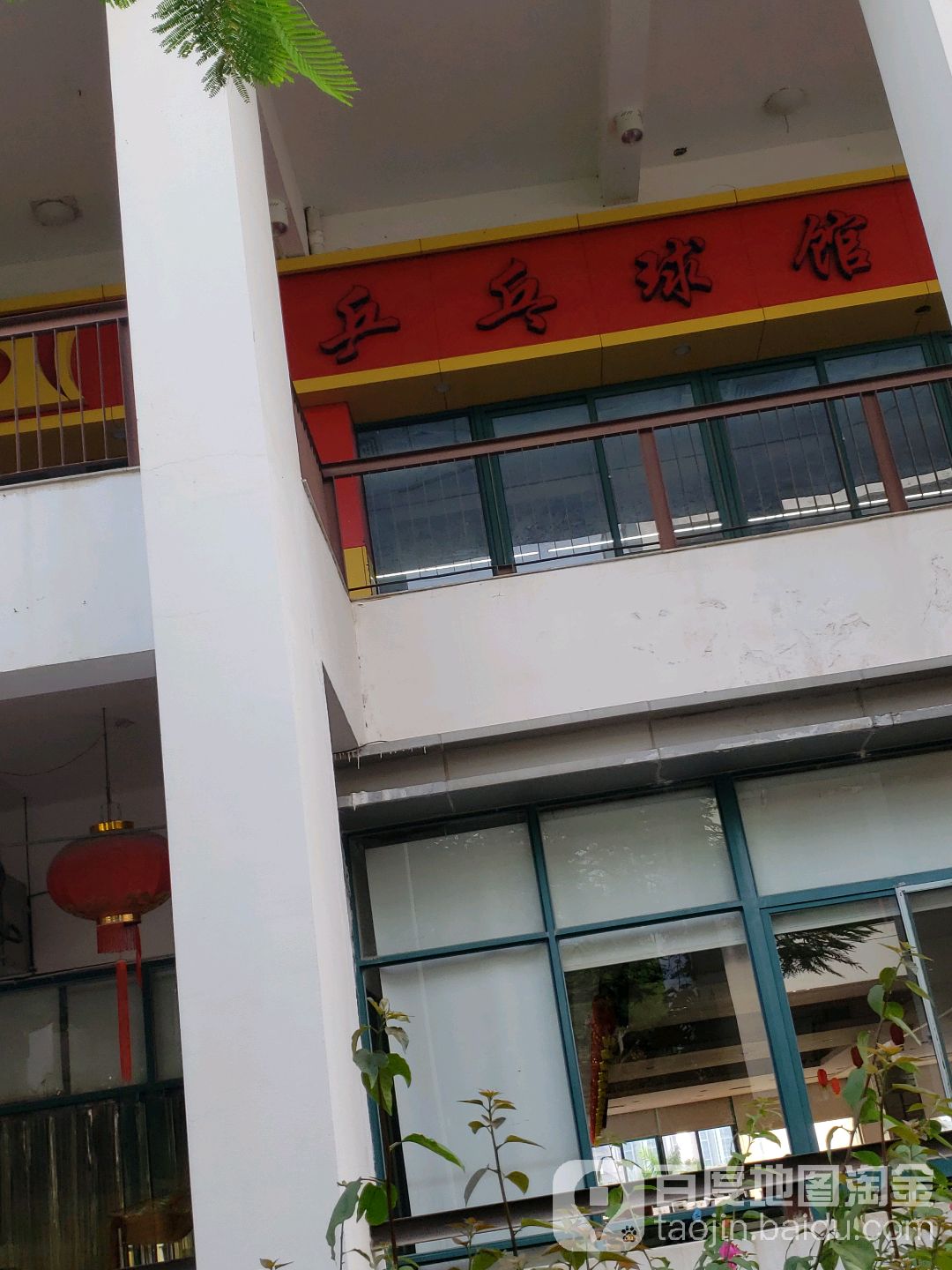 乒乓球台