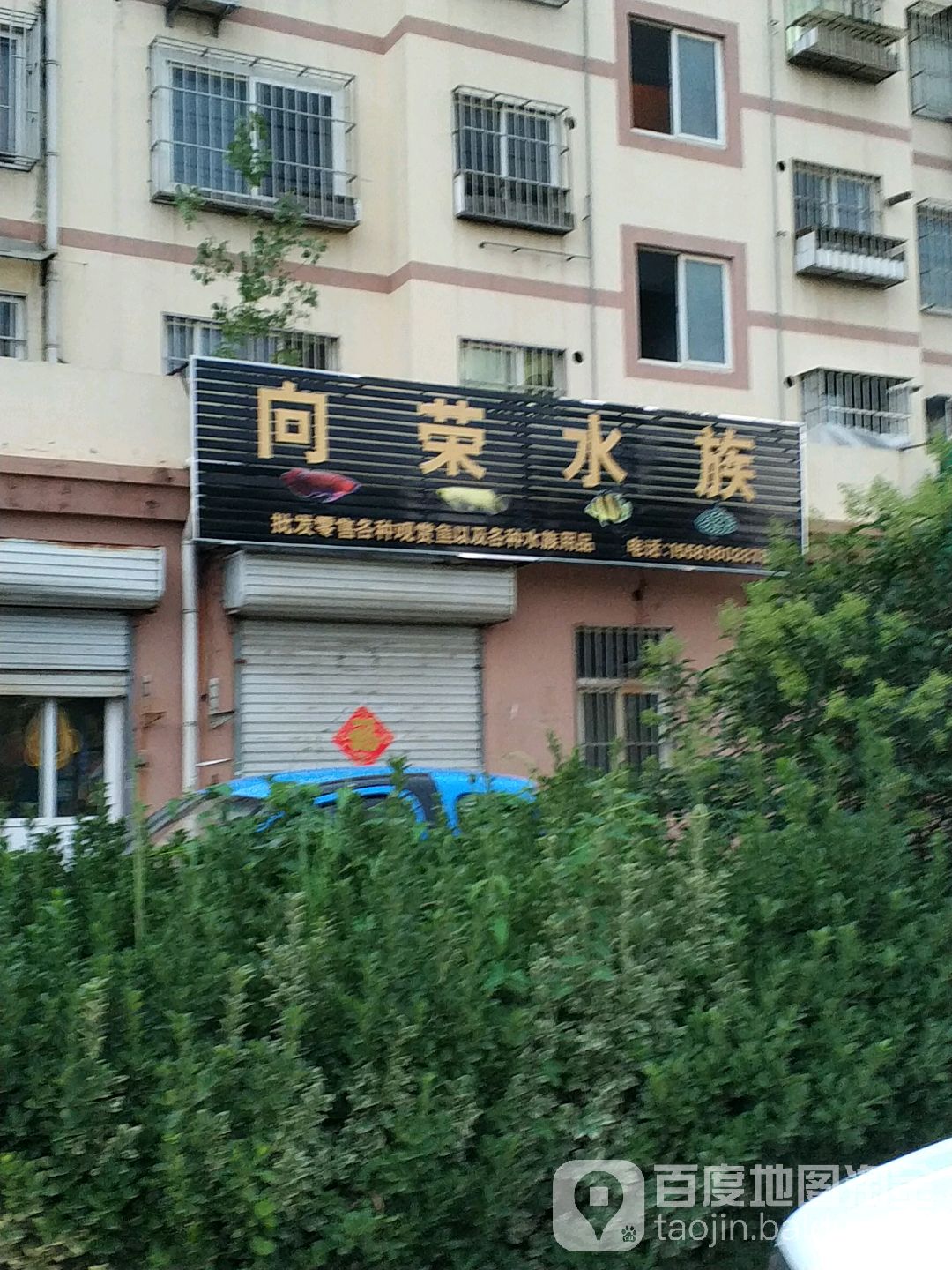向荣水族