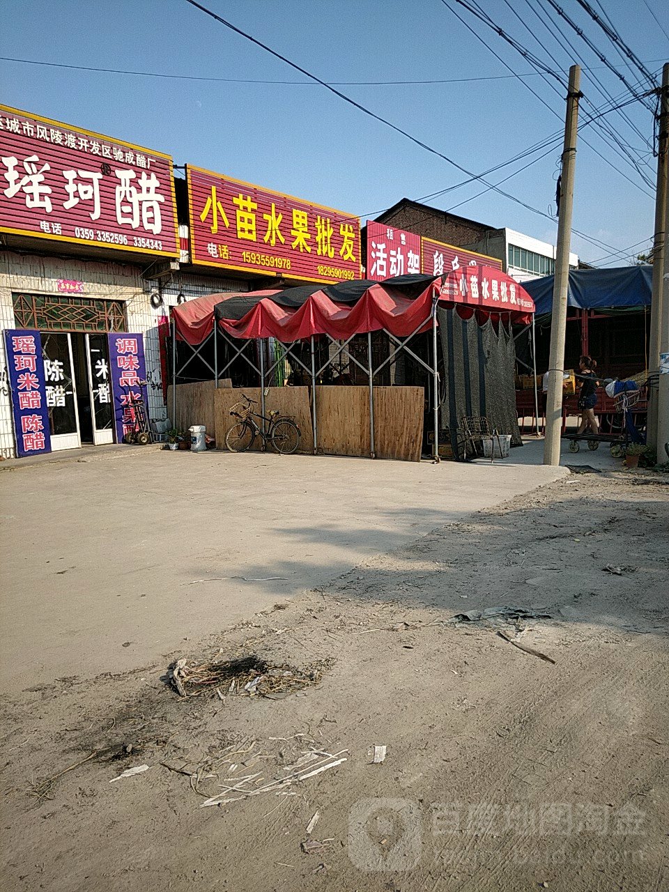 小苗水果批发