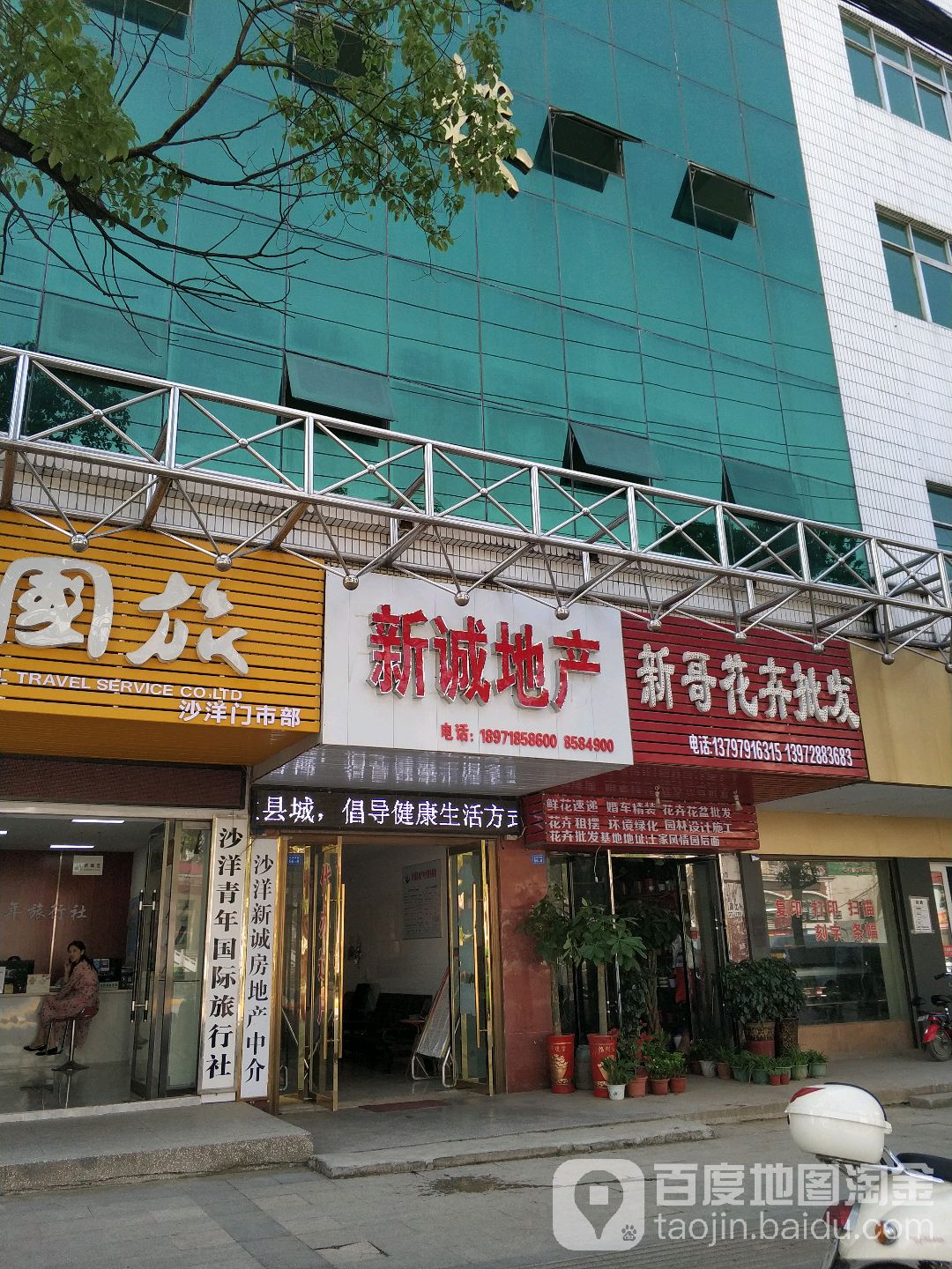 新哥花卉批发