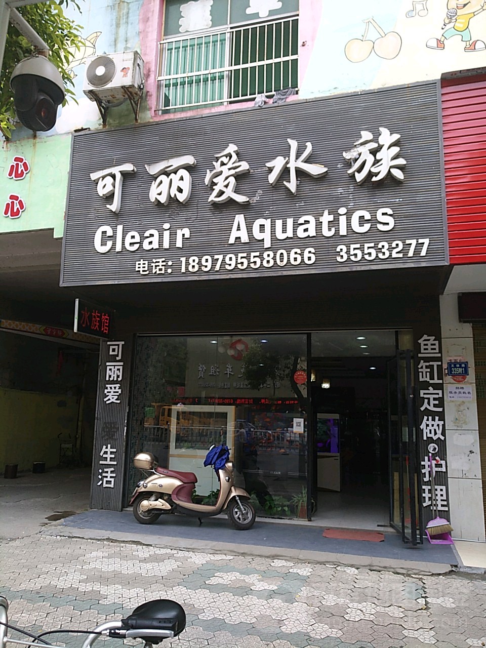 可丽爱水族馆(文体路店)