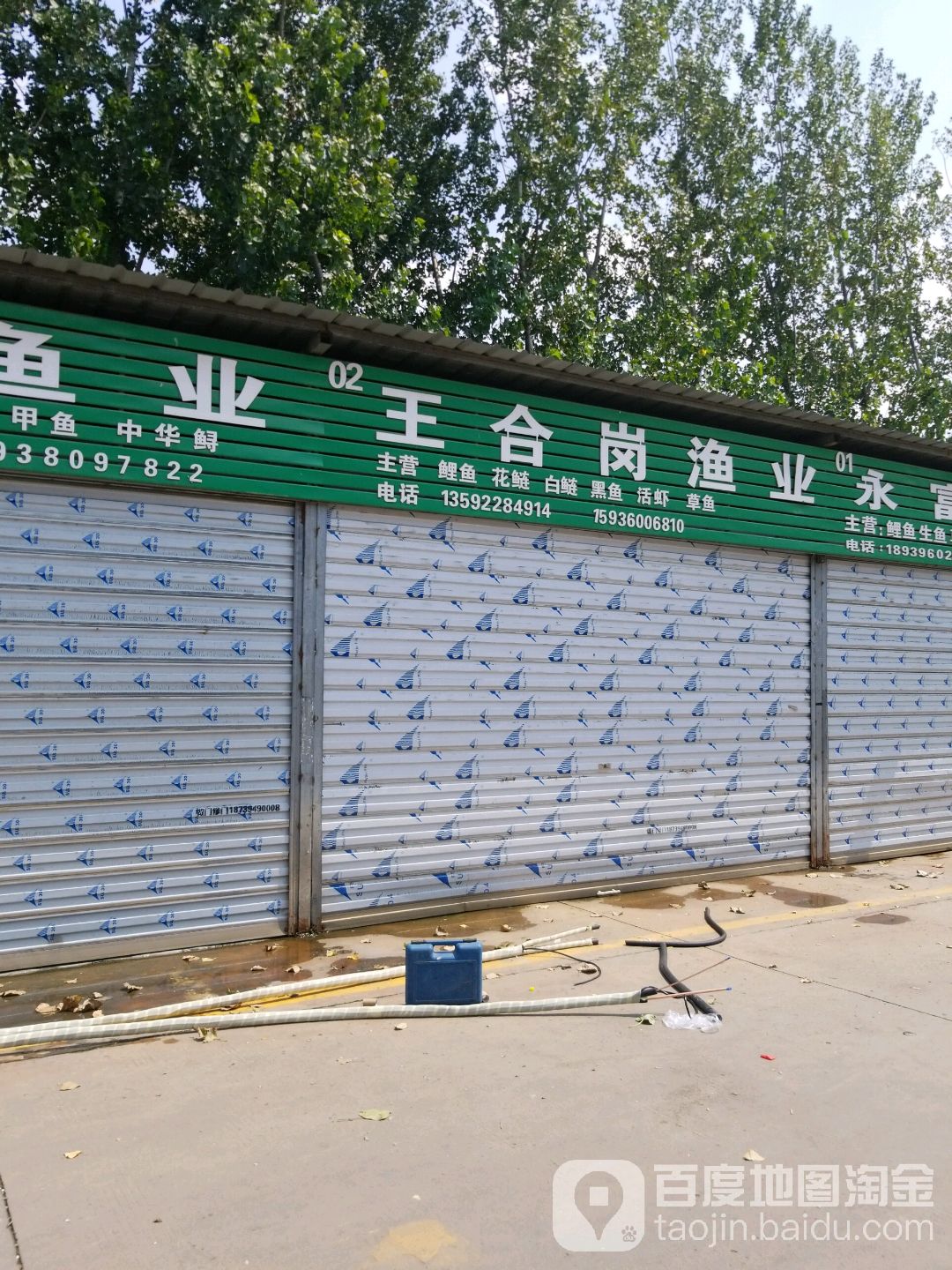 王合岗渔业