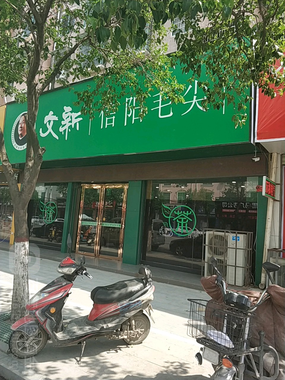 平舆县文新信阳毛尖(解放街店)