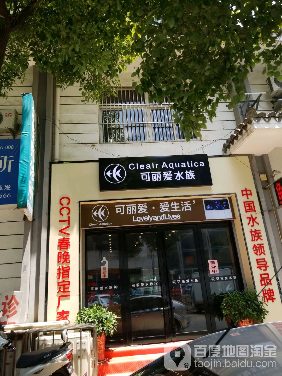 六安可怜爱水族(花鸟鱼虫大观园店)