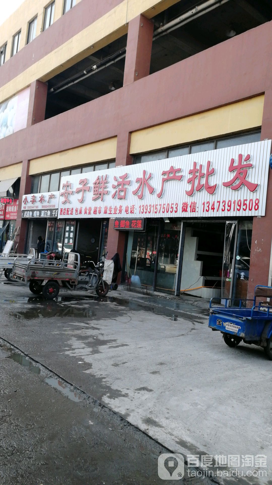 安子鲜活水产批发