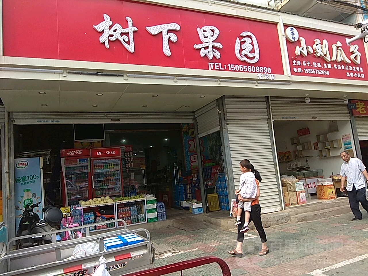 树上果园