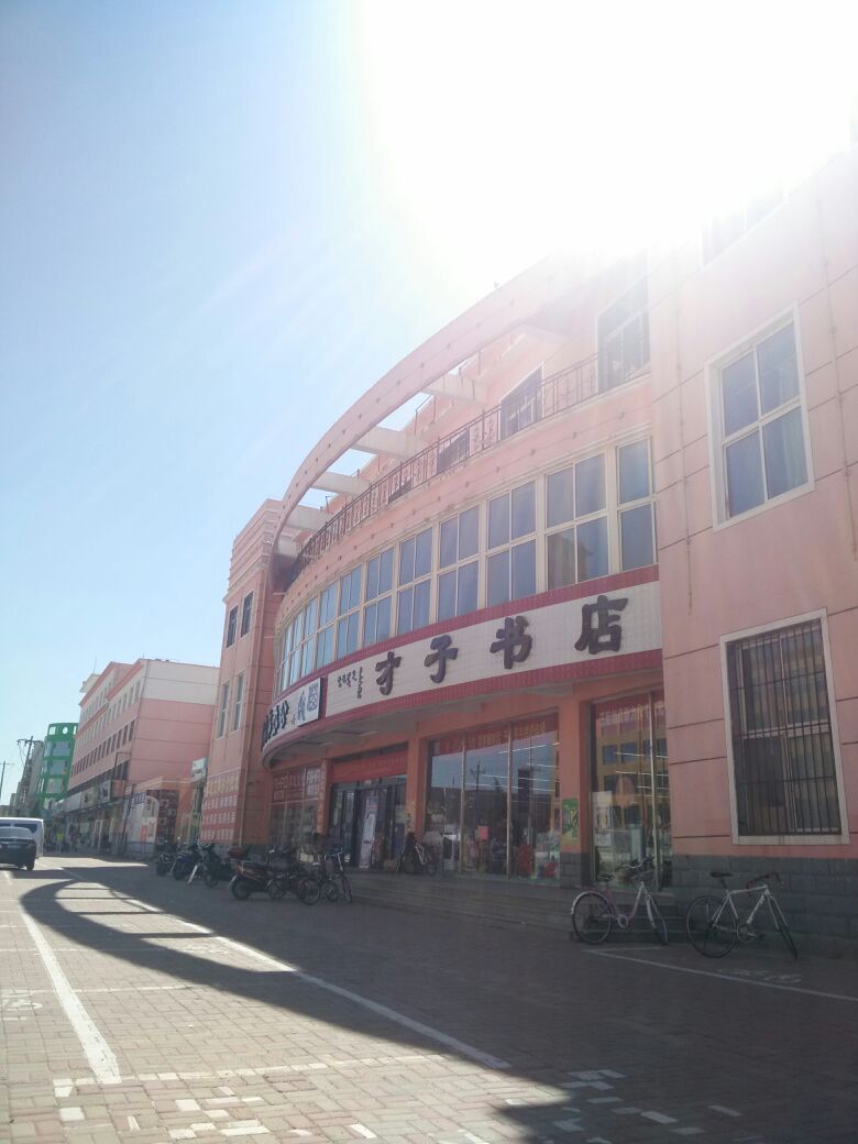 才子书店