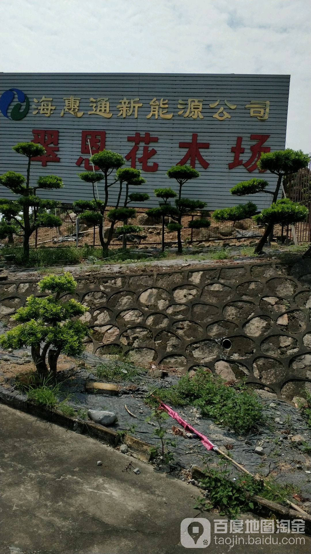 翠思花木场