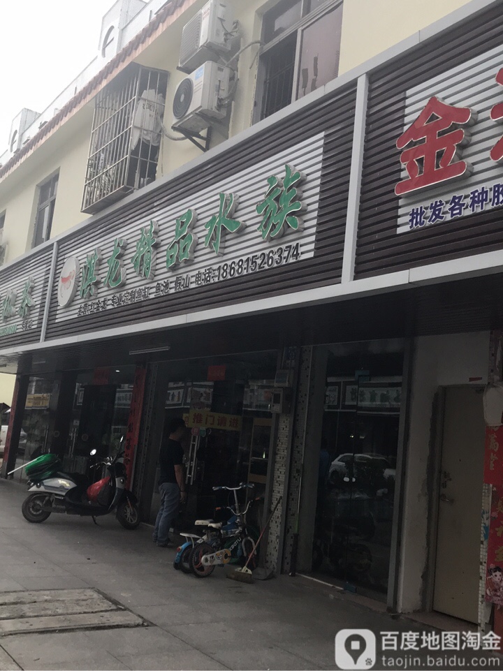 淇龙精品水族