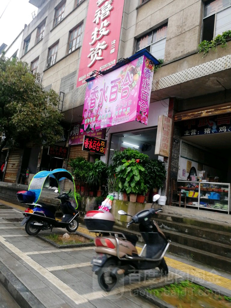 香水百合