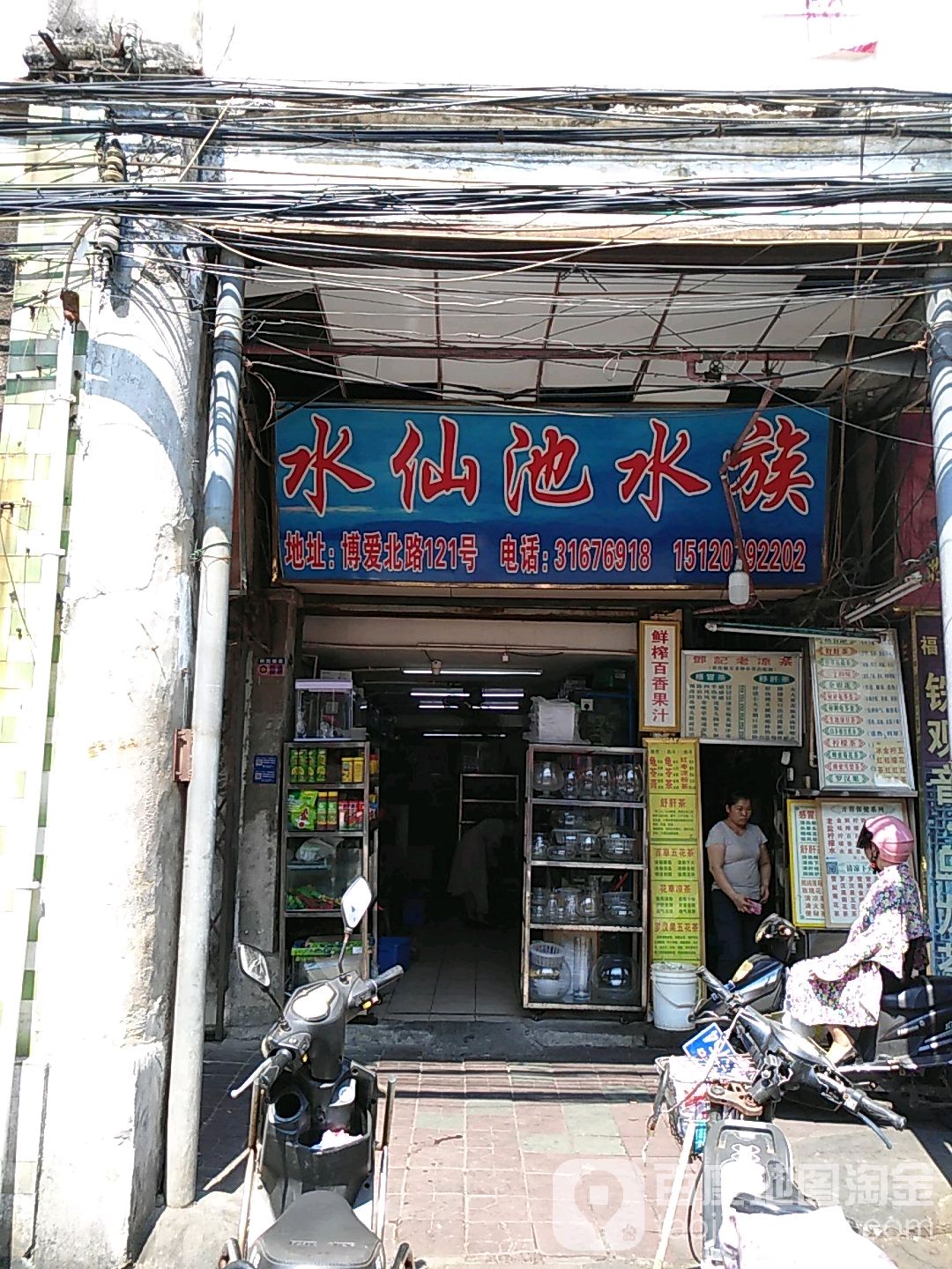 水仙池水族